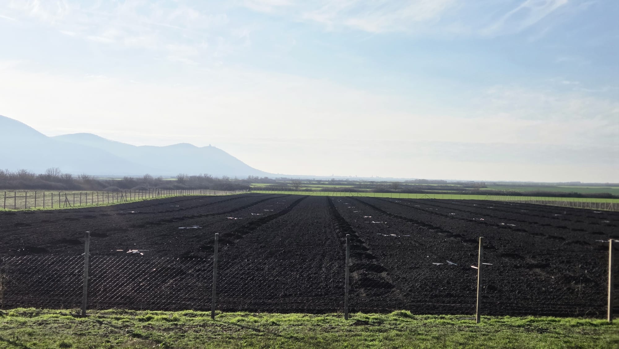 Plantaža oraha 2025
